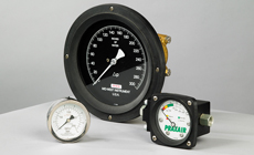 DP and Pressure Gauges