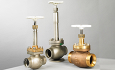 Globe Valves